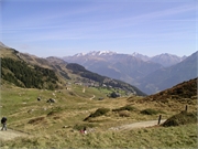 Walter 08.07.08-02.01.200973